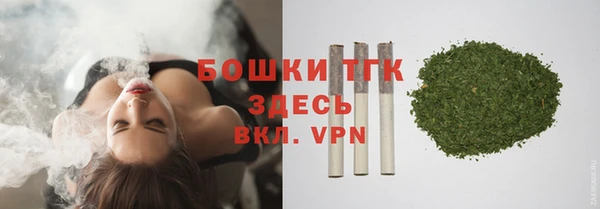 мет Инсар