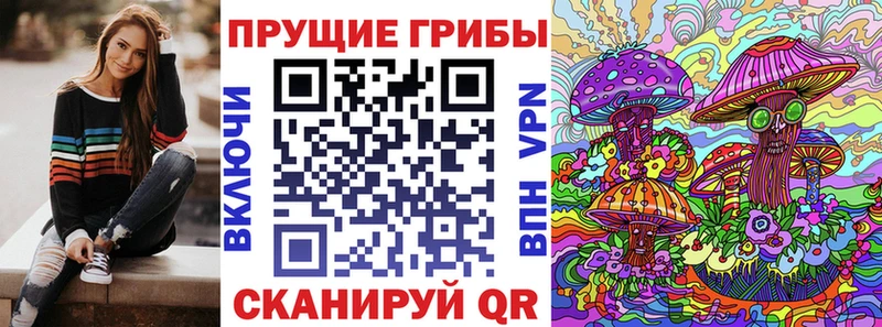 Псилоцибиновые грибы Psilocybe сколько стоит Камбарка